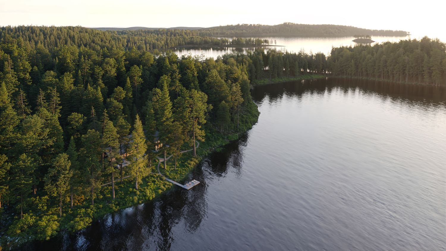 Forested shoreline and calm lake water at golden hour