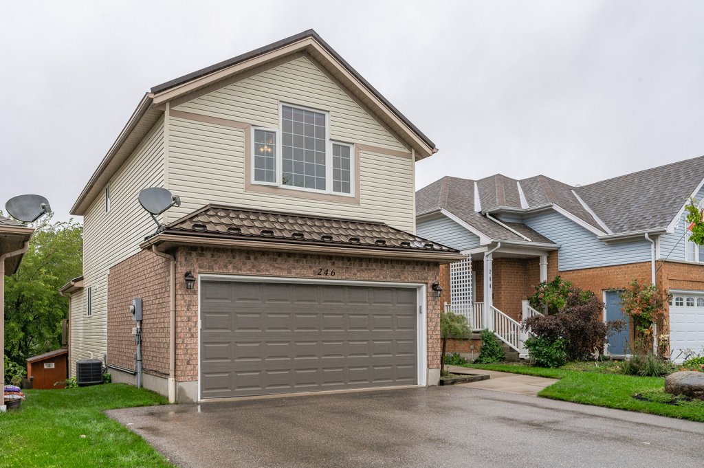 246 Pastern Trail Gallery