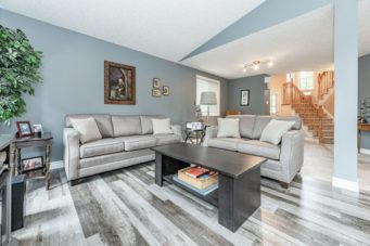 246 Pastern Trail Gallery