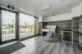 209-5 WELLINGTON STREET, KITCHENER