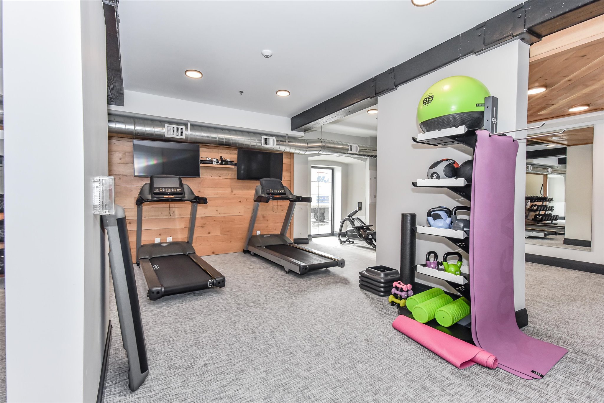 #106-19 Guelph Avenue