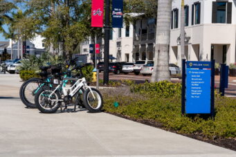 11615 GLEAMING TERRACE, WELLEN PARK, VENICE, FLA